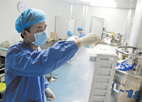 細(xì)胞凍存 細(xì)胞凍存